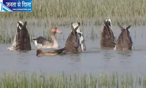 घटौरा आर्द्रभूमि को रामसर साइट बनाने की तैयारी, डीएम ने प्रस्ताव जल्द भेजने के दिए निर्देश घटौरा आर्द्रभूमि को रामसर साइट बनाने की तैयारी, डीएम ने प्रस्ताव जल्द भेजने के दिए निर्देश