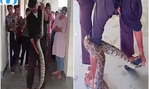 10 फुट के अजगर ने उड़ाए होश, गर्ल्स हॉस्टल के बाथरूम से हुआ रेस्क्यू