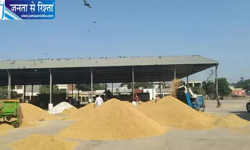 धान की आवक से गुलजार हुईं मंडियां, किसान सरकारी खरीद और MSP का कर रहे इंतजार