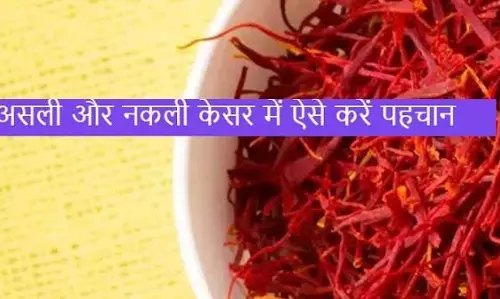 नकली केसर से सावधान! ऐसे पहचानें असली ‘लाल सोना’
