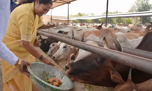 हरेवली गौशाला में CM रेखा गुप्ता सोलर प्लांट का किया उद्घाटन