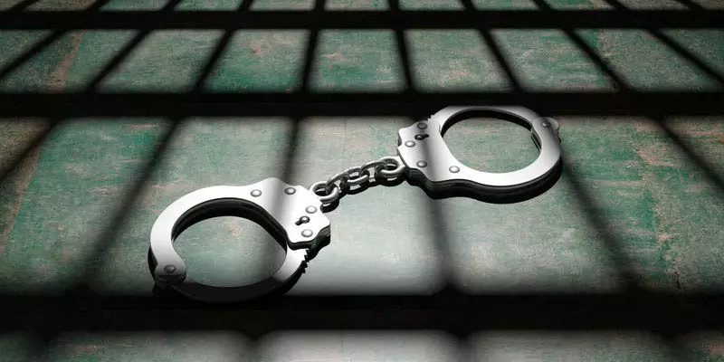 दिल्ली हवाई अड्डे पर 4 किलो गांजे के साथ 2 गिरफ्तार दिल्ली हवाई अड्डे पर 4 किलो गांजे के साथ 2 गिरफ्तार