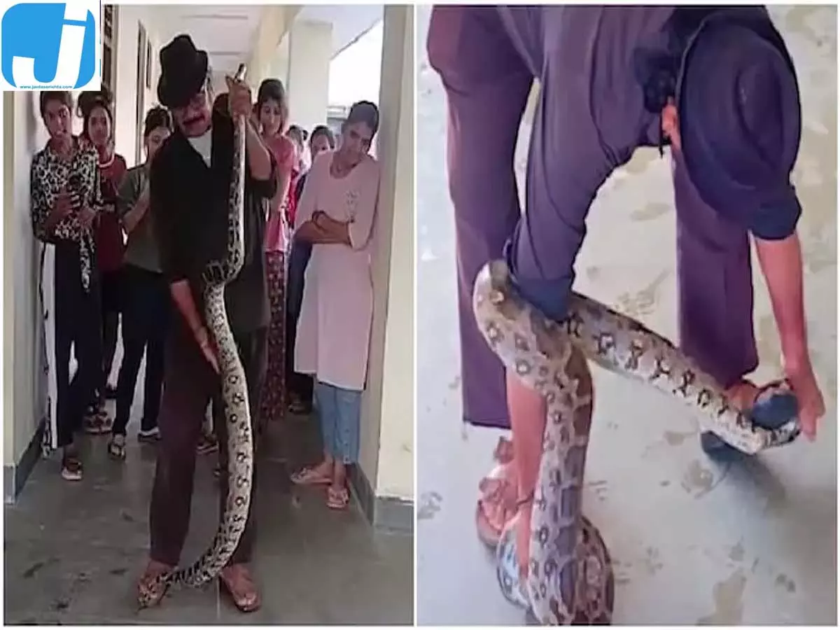 10 फुट के अजगर ने उड़ाए होश, गर्ल्स हॉस्टल के बाथरूम से हुआ रेस्क्यू 10 फुट के अजगर ने उड़ाए होश, गर्ल्स हॉस्टल के बाथरूम से हुआ रेस्क्यू