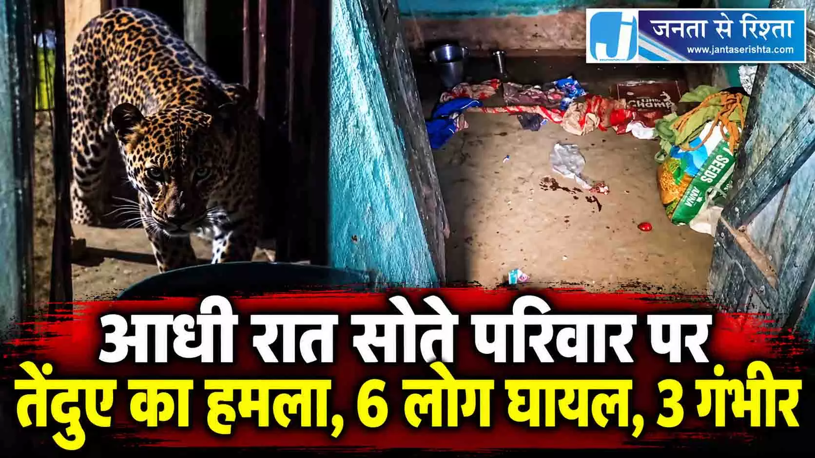 आधी रात सोते परिवार पर तेंदुए का हमला, 6 लोग घायल आधी रात सोते परिवार पर तेंदुए का हमला, 6 लोग घायल