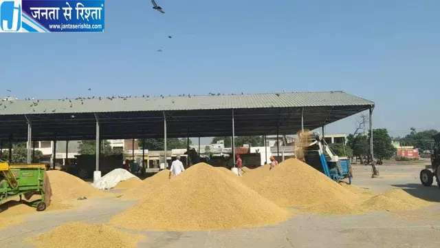 धान की आवक से गुलजार हुईं मंडियां, किसान सरकारी खरीद और MSP का कर रहे इंतजार धान की आवक से गुलजार हुईं मंडियां, किसान सरकारी खरीद और MSP का कर रहे इंतजार