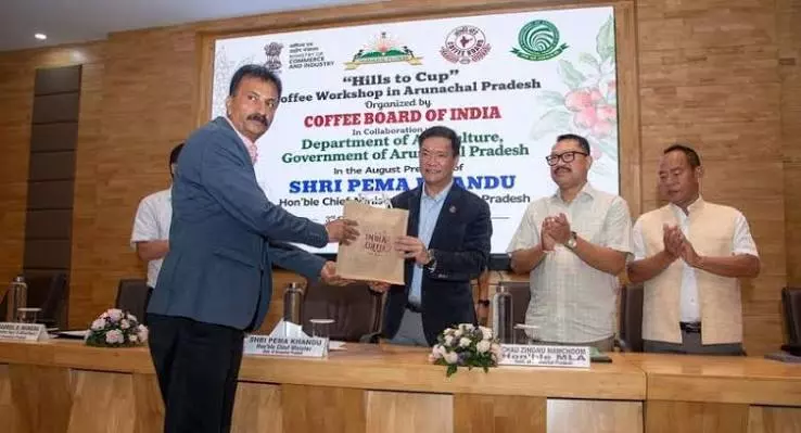 युवा उद्यमियों को बढ़ावा: अरुणाचल में कॉफी क्षेत्र के विस्तार का प्लान युवा उद्यमियों को बढ़ावा: अरुणाचल में कॉफी क्षेत्र के विस्तार का प्लान