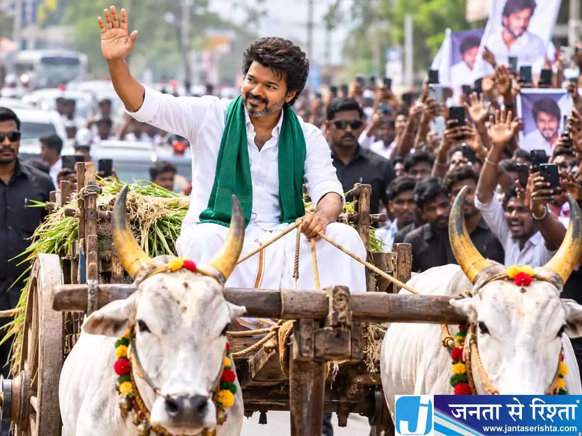 थलपति विजय का देसी अंदाज वायरल, बैलगाड़ी चलाते आए नजर थलपति विजय का देसी अंदाज वायरल, बैलगाड़ी चलाते आए नजर