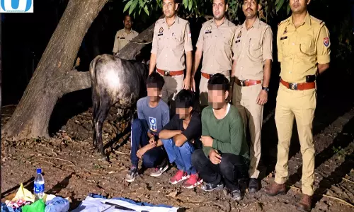 मुठभेड़ में तीन को लगी गोली, हथियार और कारतूस बरामद मुठभेड़ में तीन को लगी गोली, हथियार और कारतूस बरामद