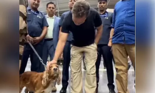 राहुल गांधी और स्निफर डॉग की प्यारी मुलाकात, ये मोमेंट हुआ वायरल! राहुल गांधी और स्निफर डॉग की प्यारी मुलाकात, ये मोमेंट हुआ वायरल!