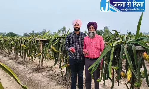 कपूरथला के शिक्षक ने खेती के लिए छोड़ी नौकरी कपूरथला के शिक्षक ने खेती के लिए छोड़ी नौकरी