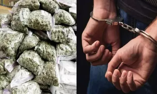 गांजा तस्करी का खुलासा, चालक गिरफ्तार
