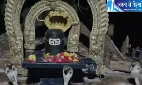 शिवलिंग के सामने एक साथ दिखे तीन सांप, CCTV में कैद हुआ नजारा; मंदिर पहुंचे ग्रामीण शिवलिंग के सामने एक साथ दिखे तीन सांप, CCTV में कैद हुआ नजारा; मंदिर पहुंचे ग्रामीण