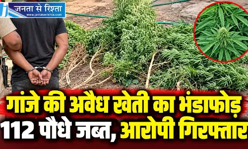 गांजे की अवैध खेती का भंडाफोड़, 112 पौधे जब्त, आरोपी गिरफ्तार गांजे की अवैध खेती का भंडाफोड़, 112 पौधे जब्त, आरोपी गिरफ्तार