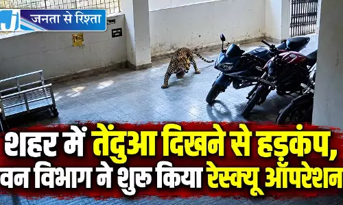 शहर में तेंदुआ दिखने से हड़कंप, वन विभाग ने शुरू किया रेस्क्यू ऑपरेशन
