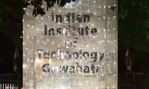 पौधों से साफ होगा गंदा जहरीला पानी, आईआईटी ने विकसित की नई तकनीक