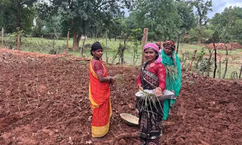 प्रधानमंत्री नरेन्द्र मोदी के महिला सशक्तिकरण के संकल्प को साकार कर रही बिहान की दीदियां प्रधानमंत्री नरेन्द्र मोदी के महिला सशक्तिकरण के संकल्प को साकार कर रही बिहान की दीदियां