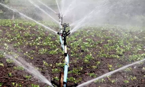 छत्तीसगढ़ में सिंचाई और विकास को बढ़ावा छत्तीसगढ़ में सिंचाई और विकास को बढ़ावा