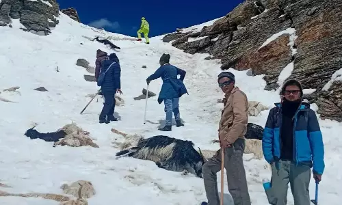 बर्फीले तूफान के बीच चरवाहों को सुरक्षित निकाला