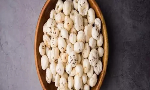 मखाना खरीदने से पहले जरूर देखें ये 4 जरूरी संकेत मखाना खरीदने से पहले जरूर देखें ये 4 जरूरी संकेत