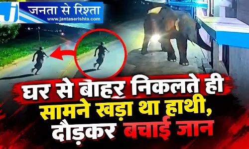 घर से बाहर निकलते ही सामने खड़ा था हाथी, दौड़कर बचाई जान