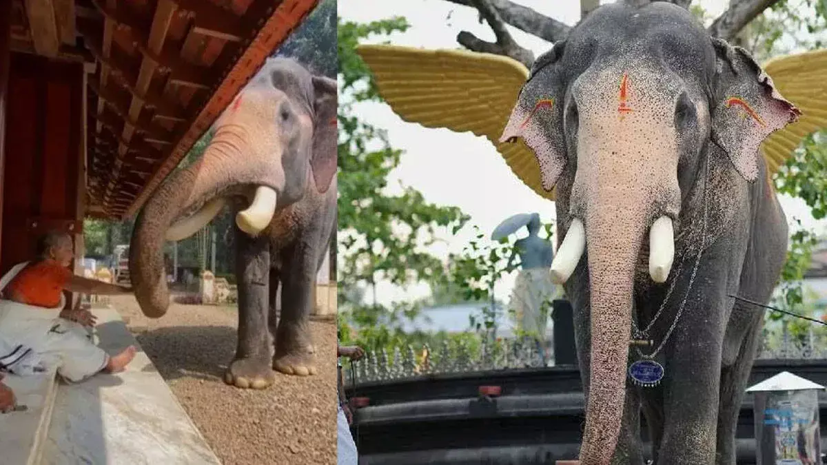 ब्रह्मदत्तन और पल्लट परिवार: प्रेम-स्नेह से भरी यादगार दास्तान ब्रह्मदत्तन और पल्लट परिवार: प्रेम-स्नेह से भरी यादगार दास्तान