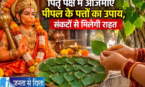 पितृ पक्ष में आजमाएं पीपल के पत्तों का उपाय संकटों से मिलेगी राहत पितृ पक्ष में आजमाएं पीपल के पत्तों का उपाय संकटों से मिलेगी राहत