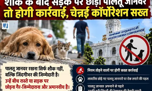 शौक के बाद सड़क पर छोड़ा पालतू जानवर तो होगी कार्रवाई, चेन्नई कॉर्पोरेशन सख्त