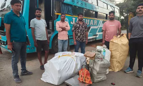 यात्री बस से 245 किलो गांजा बरामद, चालक समेत दो गिरफ्तार