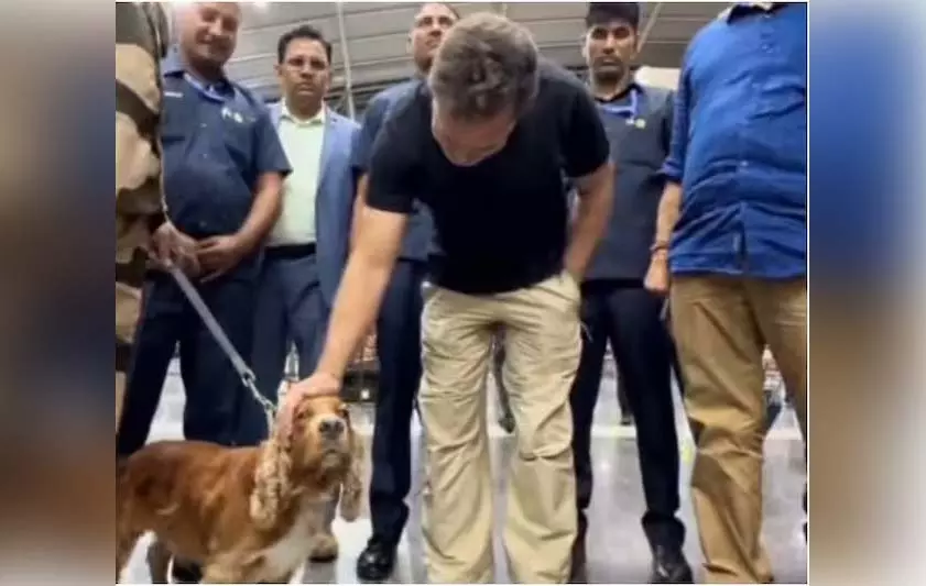 राहुल गांधी और स्निफर डॉग की प्यारी मुलाकात, ये मोमेंट हुआ वायरल! राहुल गांधी और स्निफर डॉग की प्यारी मुलाकात, ये मोमेंट हुआ वायरल!