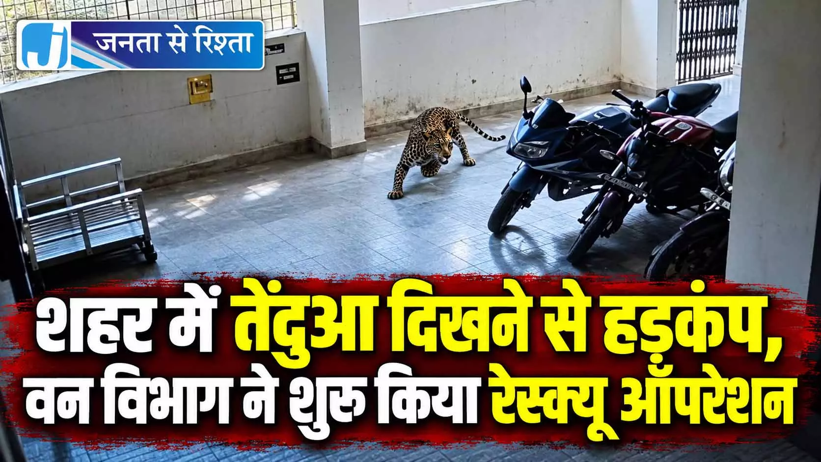 शहर में तेंदुआ दिखने से हड़कंप, वन विभाग ने शुरू किया रेस्क्यू ऑपरेशन शहर में तेंदुआ दिखने से हड़कंप, वन विभाग ने शुरू किया रेस्क्यू ऑपरेशन