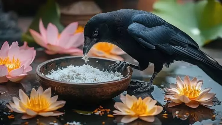 सर्वपितृ अमावस्या की सही तिथि और आसान पूजन उपाय सर्वपितृ अमावस्या की सही तिथि और आसान पूजन उपाय
