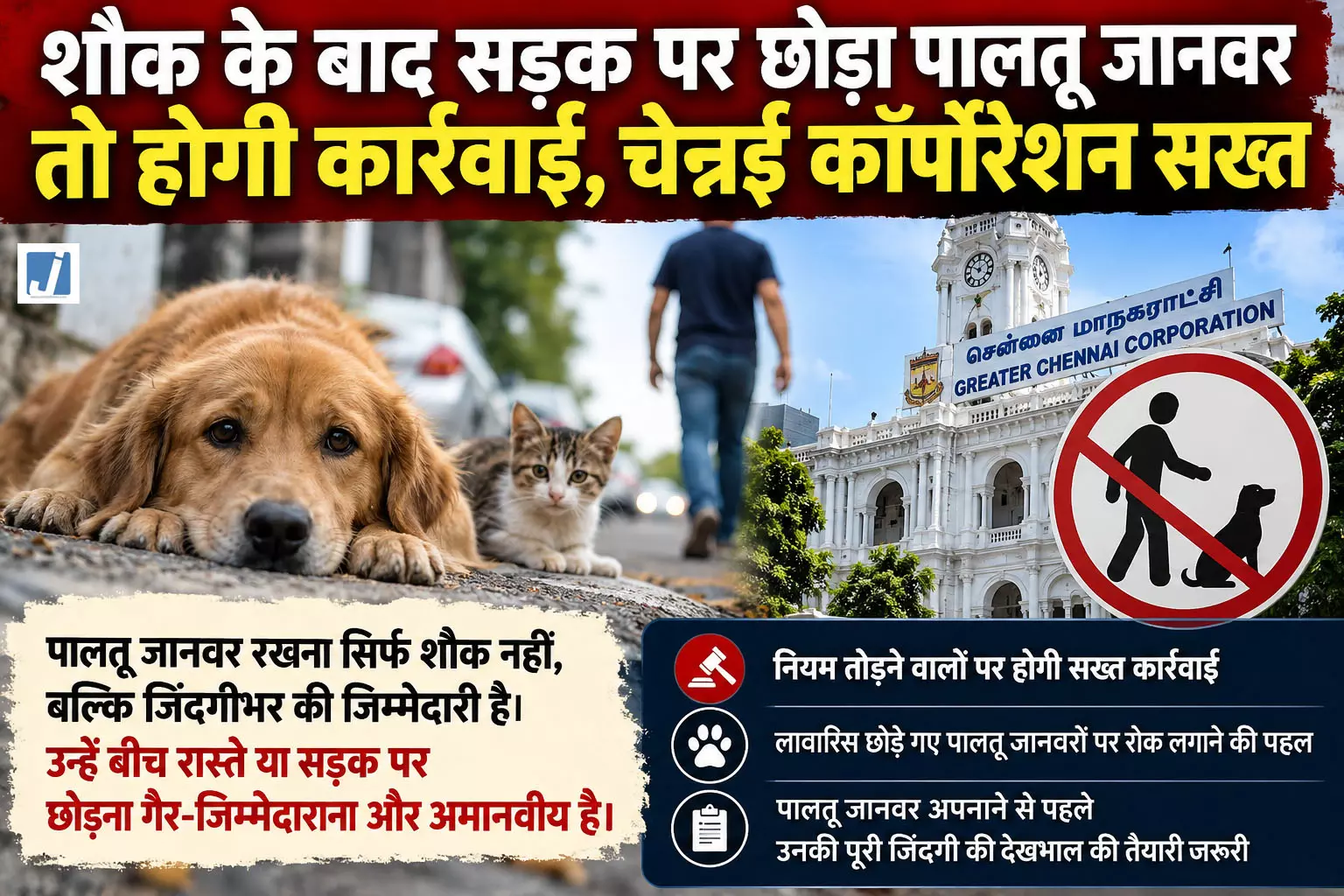 शौक के बाद सड़क पर छोड़ा पालतू जानवर तो होगी कार्रवाई, चेन्नई कॉर्पोरेशन सख्त शौक के बाद सड़क पर छोड़ा पालतू जानवर तो होगी कार्रवाई, चेन्नई कॉर्पोरेशन सख्त