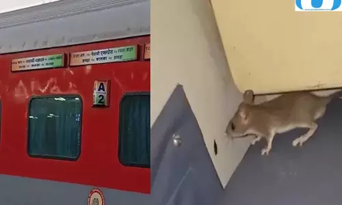 ट्रेनों में कीटों का कहर, हजारों शिकायतों के बाद भी नहीं थमी समस्या