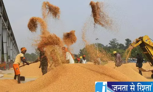 पंजाब में 3.44 लाख टन धान की खरीद, किसानों को 188 करोड़ का भुगतान