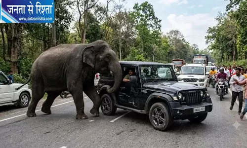 हरिद्वार-नजीबाबाद हाईवे पर हाथी ने थार पर किया हमला, लोगों में मची अफरा-तफरी हरिद्वार-नजीबाबाद हाईवे पर हाथी ने थार पर किया हमला, लोगों में मची अफरा-तफरी