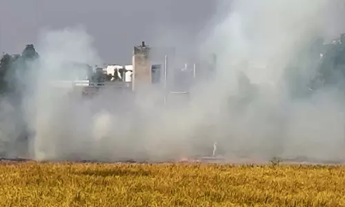 पंजाब में पराली जलाने के मामले घटे सरकार ने गिनाए उपाय पंजाब में पराली जलाने के मामले घटे सरकार ने गिनाए उपाय