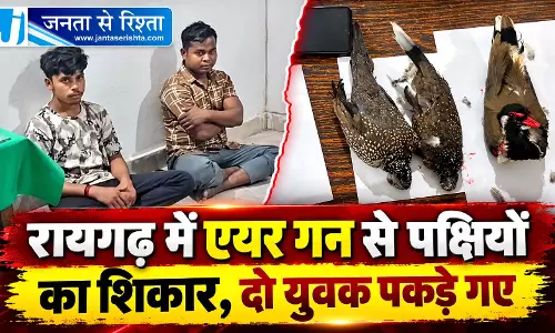 रायगढ़ में एयर गन से पक्षियों का शिकार, दो युवक पकड़े गए रायगढ़ में एयर गन से पक्षियों का शिकार, दो युवक पकड़े गए