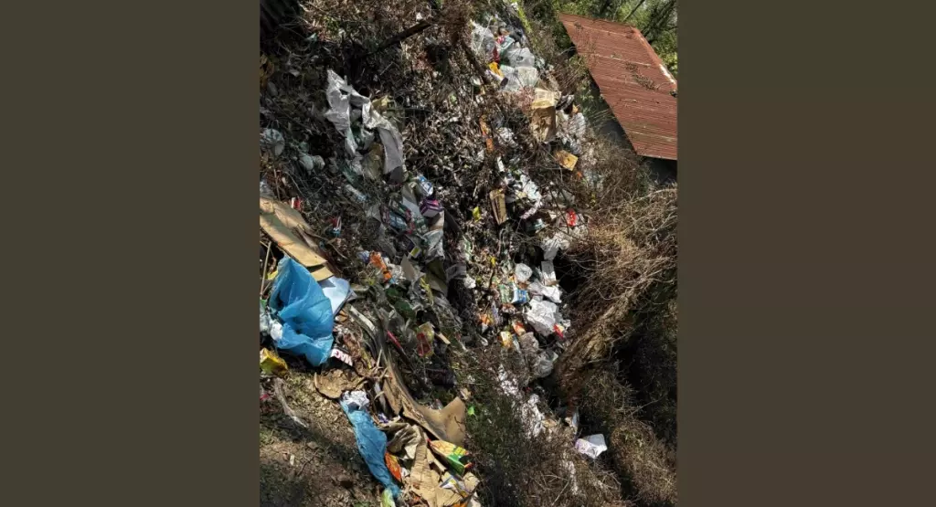 कम्युनिटी रूल्स से रुकेगा प्लास्टिक कचरा: नागालैंड यूनिवर्सिटी की स्टडी कम्युनिटी रूल्स से रुकेगा प्लास्टिक कचरा: नागालैंड यूनिवर्सिटी की स्टडी