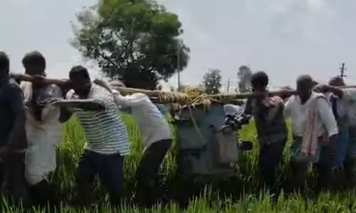 सिंचाई ठप: मेडक में बिजली कटौती से परेशान हुए किसान सिंचाई ठप: मेडक में बिजली कटौती से परेशान हुए किसान