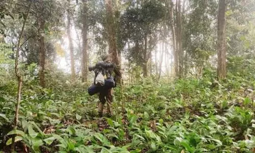 इंटंकी नेशनल पार्क में वन्यजीव सप्ताह मनाया जा रहा इंटंकी नेशनल पार्क में वन्यजीव सप्ताह मनाया जा रहा