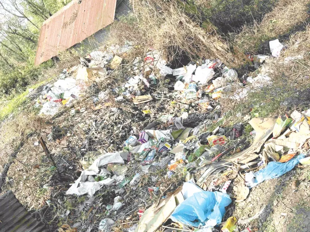 NU की स्टडी: कम्युनिटी के नियम तय करते हैं प्लास्टिक-वेस्ट की आदतें NU की स्टडी: कम्युनिटी के नियम तय करते हैं प्लास्टिक-वेस्ट की आदतें