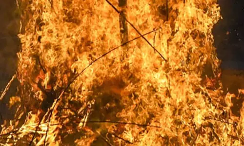 इंदौर जा रही बस में लगी भीषण आग, यात्रियों ने कूदकर बचाई जान