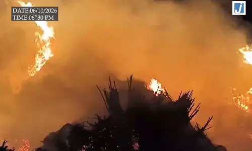 FIRE: 11 हजार वोल्ट की लाइन से निकली चिंगारी, 1000 मन चारा राख