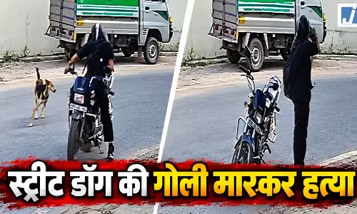 CCTV में कैद बेजुबान पर गोली चलाने की वारदात, स्ट्रीट डॉग पर फायरिंग