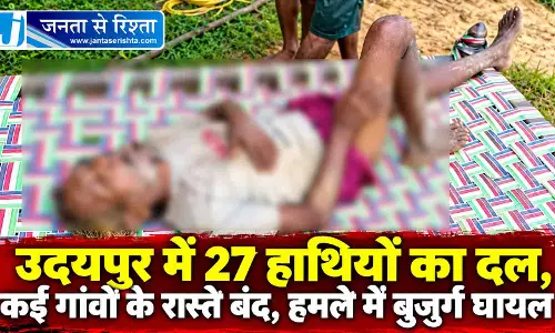 उदयपुर में 27 हाथियों का दल, कई गांवों के रास्ते बंद, हमले में बुजुर्ग घायल उदयपुर में 27 हाथियों का दल, कई गांवों के रास्ते बंद, हमले में बुजुर्ग घायल