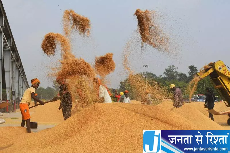 पंजाब में 3.44 लाख टन धान की खरीद, किसानों को 188 करोड़ का भुगतान पंजाब में 3.44 लाख टन धान की खरीद, किसानों को 188 करोड़ का भुगतान