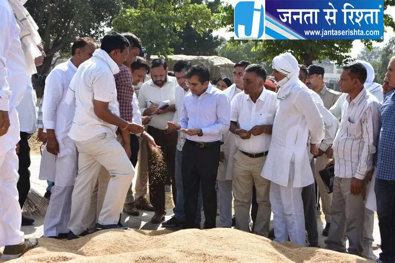 डीसी की समीक्षा के बाद पानीपत में धान खरीद ने पकड़ी रफ्तार डीसी की समीक्षा के बाद पानीपत में धान खरीद ने पकड़ी रफ्तार