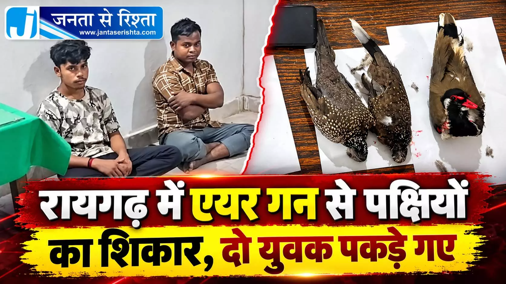 रायगढ़ में एयर गन से पक्षियों का शिकार, दो युवक पकड़े गए रायगढ़ में एयर गन से पक्षियों का शिकार, दो युवक पकड़े गए