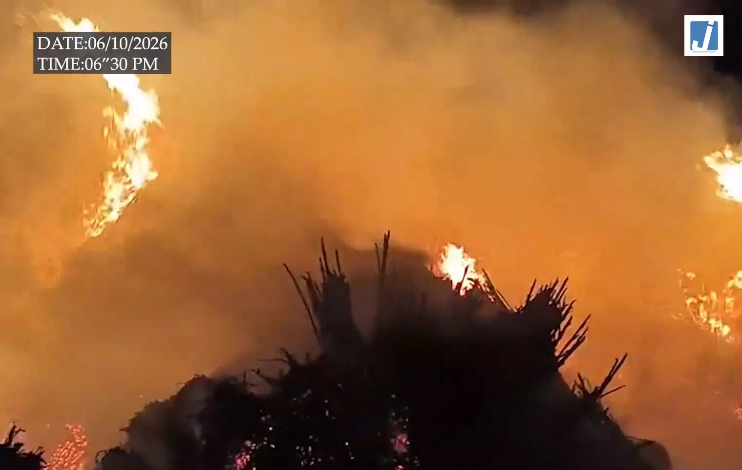 FIRE: 11 हजार वोल्ट की लाइन से निकली चिंगारी, 1000 मन चारा राख FIRE: 11 हजार वोल्ट की लाइन से निकली चिंगारी, 1000 मन चारा राख