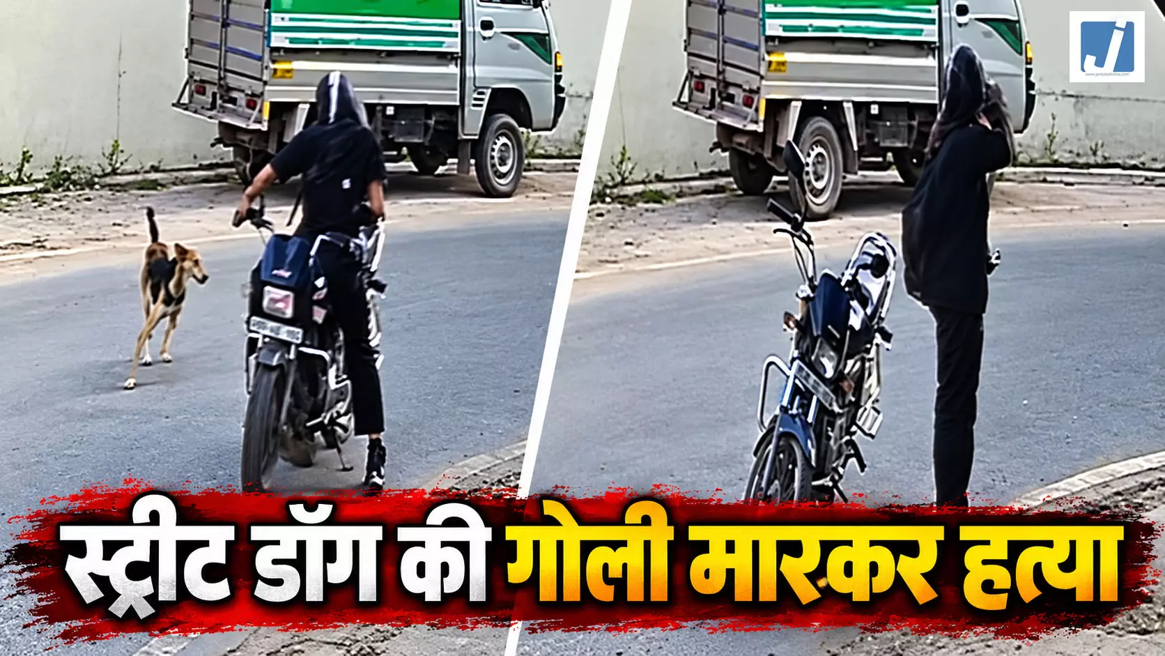 CCTV में कैद बेजुबान पर गोली चलाने की वारदात, स्ट्रीट डॉग पर फायरिंग CCTV में कैद बेजुबान पर गोली चलाने की वारदात, स्ट्रीट डॉग पर फायरिंग